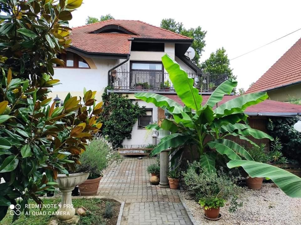 Lavendel Apartman Harkany Luaran gambar